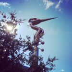 Lisa Ray Instagram - #HeronsLanding #Nelson #travelistaeyes