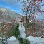 Lisa Ray Instagram - Eduardo - the gender fluid snow person- and us, wish you all a hopeful, resilient, love filled 2021. (Hooey, adds the snow person in snow speak)