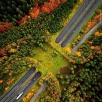 Lisa Ray Instagram - Posted @withregram • @davidsuzukifdn A bridge for wildlife. We love this stunning pic taken by @rutgerdenhertog 💚