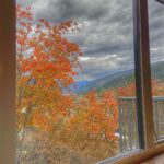 Lisa Ray Instagram - Current view. #NelsonBC