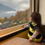 Lisa Ray Instagram – Bumble bee at the window.
#Nelson @nelsonbritishcolumbia