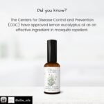 Lisa Ray Instagram - Rithika, the dynamic founder of @ollie_oils dropped off a care package of her mama earth friendly essential oil products the other week. We love them all, but right now, in the middle of dengue season, the natural mosquito repellant is the hero product. I spray it generously on little arms and legs and then turn the bottle on myself. . . Repost from @ollie_oils using @RepostRegramApp - Lemon eucalyptus essential oil is one of the most potent natural insect repellents and is also known for its anti-inflammatory properties.⁠ ⁠ It is one of the key ingredients in our Mosquito Repellent spray along with nine other essential oils to ensure protection against not just mosquitoes but a wide range of insects in the outdoors. And it smells great!⁠ ⁠ Click the link in our bio to purchase 100% pure Australian Lemon Eucalyptus oil or Ollie's natural mosquito repellent spray.⁠ ⁠ ⁠ #lemoneucalyptu #toxinfreeliving #myoilyday #oilyfamily #nontoxicliving #sustainablysourced #womenowned #workingmommy #hollisticliving #essentialoilsforthewin #essentialoils101 #healthylifestyle #pureessentialoils #essentialrewards #itsollie #chemicalfreeliving #cleanliving #localsg #supportlocalsg #sgbased #ollietheoilcompany #sgbusiness #essentialoilsrock #watchessentials #sgmom #ethicalbusiness #ecoconscious #sgfamily #sglife #sginstagram ⁠