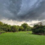 Lisa Ray Instagram – Betting the weather will hold out until I finish walking through the Healing Garden. Sometimes you need to walk into the storm not away.
#Singapore #strongmedicine