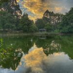 Lisa Ray Instagram - Swan lake. This morning. #botanicalgardensingapore