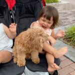 Lisa Ray Instagram - Here’s a little weekend pick me up. Babies and puppies is a people pleasing combination - and why not? Does make you think : are inter - species friendships easier these days?