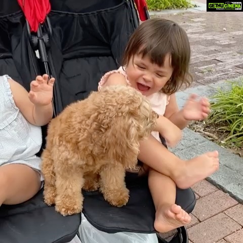 Lisa Ray Instagram - Here’s a little weekend pick me up. Babies and puppies is a people pleasing combination - and why not? Does make you think : are inter - species friendships easier these days?