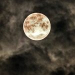Lisa Ray Instagram - Repost from @rohinidevasher using @RepostRegramApp - #penumbrallunareclipse #maximumphase #thismorning 12:56am! as the #moon passed west to east through the earth's southern penumbral shadow. 🌕🌕🌕🌕. The #penumbra is the outer shadow of the #earth so apart from a slight dimming its very difficult to tell the difference between a #fullmoon and a #penumbraleclipse but the #clouds made for a spectacular show! Shot with #fujixt20 50-200mm __________________________ #eclipseseason #eclipsewatch #lunareclipse #luna #moonphotography #moonwatch #cloudphotography #lunareclipse2020 #lookup #lockdowndiary #keeplookingup #juneeclipse #eclipse