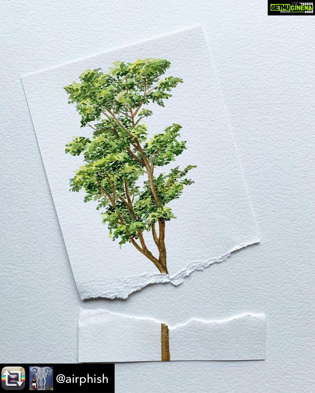 Lisa Ray Instagram - Repost from @airphish using @RepostRegramApp - Do not be disheartened by this! I will be able to make this tree again in 60 minutes, but Mother Nature will take 60 years or more to grow one again. Now imagine, 55,000 of such trees will be cut down in Goa’s Mollem National Park and all kinds of creatures that have been living there for generations will lose their home. All of this is happening in the name of development - for railways, highways and transmission lines. These forests will not grow again!!! We still don’t realise there is no Planet B! #worldenvironmentday #mymollem #magicalmollem #mollem #saveourplanet #deforestation #artivism