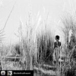 Lisa Ray Instagram - Repost from @soleilnathwani using @RepostRegramApp - Communing with nature - Images from Satyajit Ray’s debut film #PatherPanchali which has had a more profound effect on Indian cinema than any other film and which won the Cannes Jury Prize in 1956. Pather Panchali has influenced the work of directors from Kurosawa to Scorsese to Nolan. I’ve revisited this film recently as I write about it. Although at it’s core presents a picture of humanity against poverty, one thing that has struck me, especially in current times, is the way in which Ray’s camera has captured the landscape and our intuitive connection to nature which urbanization and modernity has eroded. The images of the characters (specifically the two children Apu and Durga) bathed in sunlight amidst the forest and fields is intensely therapeutic and powerful. The experience is so immersive and captures the essence of being at one with nature. #satyajitray #patherpanchali #cannesfilmfestival #filmbuff #moviescenes #indiancinema #naturetherapy