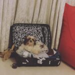 Ma Ka Pa Anand Instagram – Packed