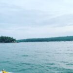 Ma Ka Pa Anand Instagram - Dolphin watch Goa