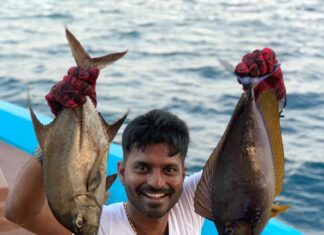 Ma Ka Pa Anand Instagram - Fish fry and kolambu today @ayadamaldivesresort @touronholidays