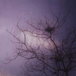 Ma Ka Pa Anand Instagram -