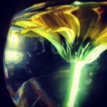 Ma Ka Pa Anand Instagram - That's was a yellow flower in water bowl , I had less time to light it up and click it