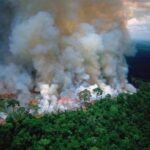 Mahesh Babu Instagram - Deeply disturbing news... the #AmazonRainforest, rightfully called the 'lungs of our planet'... contributing to 20% of the world's oxygen is on fire!!! This is a wake-up call for all of us who are taking our planet for granted... The lungs of our planet are burning... the biodiversity is suffering. Let's do our bit to protect our earth... take a step forward to go green. Let's start at home! #PrayfortheAmazon #GoGreen #PlantMoreTrees #ReduceCarbonEmissions