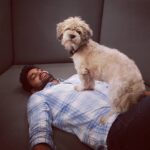 Naga Shaurya Instagram - By the way, how's your sunday ? #DogsAreTheBest #HappyRakshaBandhan