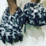 Naga Shaurya Instagram - #paws #chillpill