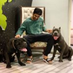 Naga Shaurya Instagram - Well spent Sunday with Boo and Ron❤️ #Showthemlove #nationalpetday