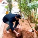 Naga Shaurya Instagram – I’ve accepted #GreenindiaChallenge 🍃‬
‪from @santoshkumarjoginipally Planted 3 saplings. Further I am nominating #jaggapathibabu @rohithnara @nandureddyy
‪to plant 3 trees & continue the chain..special thanks to MP Santhosh garu for taking this intiative