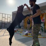 Naga Shaurya Instagram – This kites season even Boo thinks he can fly!!! @shauryasboo #dogsofinstagram #petsofinstagram #canecorse #kite #festival #sankranti