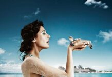 Nargis Fakhir Instagram - Animals are such agreeable friends—they ask no questions; they pass no criticisms.” – ...😂💞🐢 Maldives