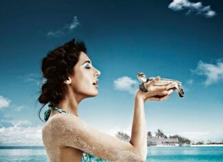 Nargis Fakhir Instagram - Animals are such agreeable friends—they ask no questions; they pass no criticisms.” – ...😂💞🐢 Maldives