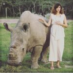 Nargis Fakhir Instagram – RIP Sudan. Last white northern Rhino gone. 😩 #heartbroken Was blessed to be apart of trying to help save this magnificent animal. 💔💔 #lastmalenorthernwhiterhino