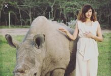 Nargis Fakhir Instagram - RIP Sudan. Last white northern Rhino gone. 😩 #heartbroken Was blessed to be apart of trying to help save this magnificent animal. 💔💔 #lastmalenorthernwhiterhino