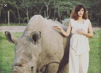 Nargis Fakhir Instagram - RIP Sudan. Last white northern Rhino gone. 😩 #heartbroken Was blessed to be apart of trying to help save this magnificent animal. 💔💔 #lastmalenorthernwhiterhino