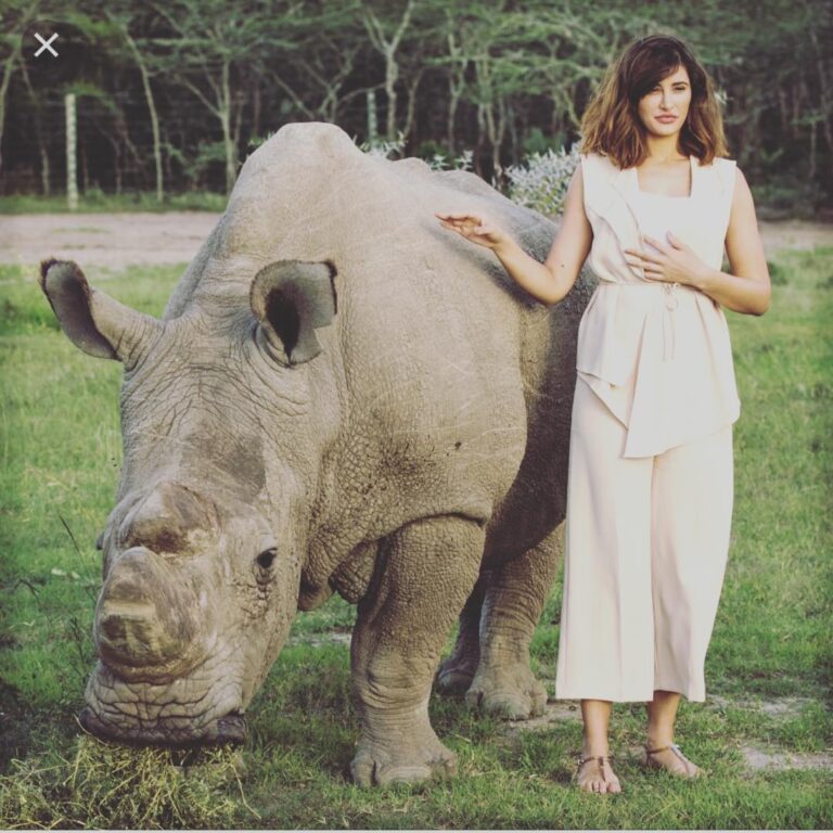 Nargis Fakhir Instagram - RIP Sudan. Last white northern Rhino gone. 😩 #heartbroken Was blessed to be apart of trying to help save this magnificent animal. 💔💔 #lastmalenorthernwhiterhino