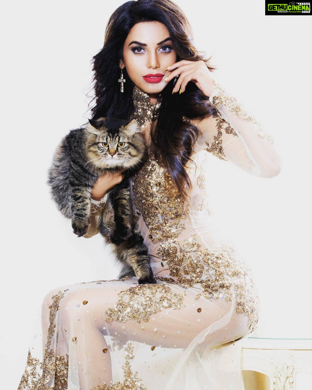 Natasha Suri Instagram - Kitty cat! Shot by @haiderkhanhaider & styled by @retesh_retesh #natashasuri