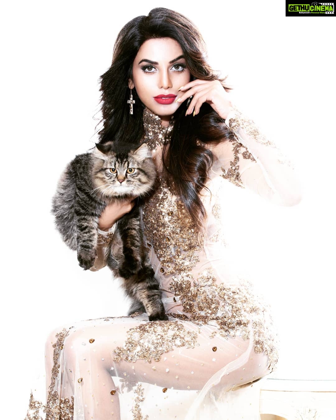 Natasha Suri Instagram - Jungli billi #natashasuri Shot by @haiderkhanhaider Styled by @retesh_retesh