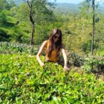 Natasha Suri Instagram - Want some tea from Assam?😌 #assamtourism #assam #beautiful