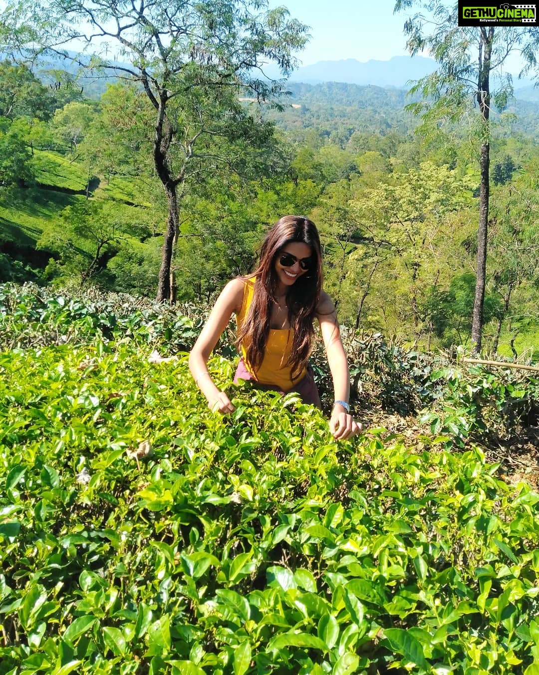 Natasha Suri Instagram - Want some tea from Assam?😌 #assamtourism #assam #beautiful