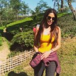 Natasha Suri Instagram - I'm at this beautiful tea estate in Silchar, Assam, Northeast of India, in this lovely weather..!!!!! #Assam #tourism #traveler Koomber Tea Garden
