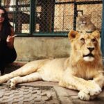 Natasha Suri Instagram - Say hello to Leo!!! I hope he is released into the wild soon🙏..! #ChiangMai #Thailand #Traveldiaries2018 Tiger Kingdom Chiangmai