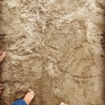 Neha Dhupia Instagram - My baby girls first steps on a beach... may you always be surrounded by all things wonderful my doll... the sound of the ocean, the wind on your face and may the sun ☀️ always shine on you and may every sand castle you build always be a reality ... ❤️ @mehrdhupiabedi @babsdhupia