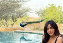 Neha Sharma Instagram - 💕💫☀️💦😎🦚Chilling with peacocks kinda day #naturelovers #incredibleindia @mondayswimwear #nofilterneeded #vaccay #summervibes Suryagarh Jaisalmer