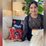 Neha Sharma Instagram - Happy Diwali, from my furry family to yours. Let's celebrate this festival with @droolsinida by showing #CompassionNotCruelty and protect our furry friends so that we can all enjoy and have a safe Diwali. . . . #DroolsIndia #DiwaliWithDrools #CompassionNotCruelty #BeKind #CrueltyFreeDiwali #CareForStrays #HappyDiwali #Diwali2020 #StressfreeDiwali #FeedRealFeedClean #FeedLocalBeVocal #BestPetFood #RealChickenForPets #RealNutrition #RealChicken #FeedReal #Droolicious #PetFood #PetCare #PawrentingTips #PetParents #Pawrenting #PetSupplies #adoptdontshop #ad