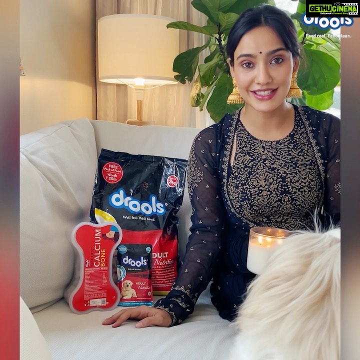 Neha Sharma Instagram - Happy Diwali, from my furry family to yours. Let's celebrate this festival with @droolsinida by showing #CompassionNotCruelty and protect our furry friends so that we can all enjoy and have a safe Diwali. . . . #DroolsIndia #DiwaliWithDrools #CompassionNotCruelty #BeKind #CrueltyFreeDiwali #CareForStrays #HappyDiwali #Diwali2020 #StressfreeDiwali #FeedRealFeedClean #FeedLocalBeVocal #BestPetFood #RealChickenForPets #RealNutrition #RealChicken #FeedReal #Droolicious #PetFood #PetCare #PawrentingTips #PetParents #Pawrenting #PetSupplies #adoptdontshop #ad