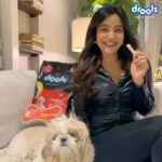 Neha Sharma Instagram - Bring out the treats - it’s that time of the year again!! This festive season get your pet the finest, tastiest, healthiest treats from @DroolsIndia, they just won’t be able to resist the crunch! With stronger teeth, healthier bones and fresher breath your dog will be all set for the party! . . . . . . . . . . #Drools #FeedRealFeedClean #Joy #DogFood #FoodForDogs #DogNutrition #cute #beautiful #instagood #RealChicken #healthydogfood #DogofInstagram #Dog #PetCare #Pets #festiveseadon #treats #dogtreats #PetsOfInstagram #WhatsGoodForYourDog #HappyDog #DogLife #furryfriends #ad