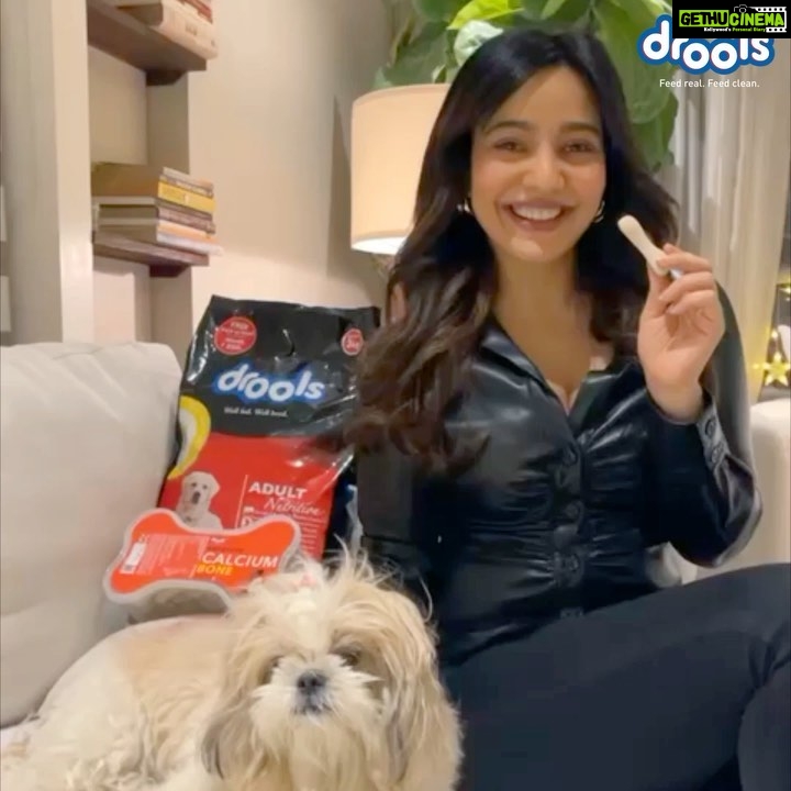 Neha Sharma Instagram - Bring out the treats - it’s that time of the year again!! This festive season get your pet the finest, tastiest, healthiest treats from @DroolsIndia, they just won’t be able to resist the crunch! With stronger teeth, healthier bones and fresher breath your dog will be all set for the party! . . . . . . . . . . #Drools #FeedRealFeedClean #Joy #DogFood #FoodForDogs #DogNutrition #cute #beautiful #instagood #RealChicken #healthydogfood #DogofInstagram #Dog #PetCare #Pets #festiveseadon #treats #dogtreats #PetsOfInstagram #WhatsGoodForYourDog #HappyDog #DogLife #furryfriends #ad