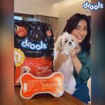 Neha Sharma Instagram – Joy loves @DroolsIndia as it’s tasty and keeps her active! #HappyJoyHappyMe
 
Nutrition for your four-legged friend requires thought and care. Just like every pet parent, I looked for Real and healthy ingredients for Joy. I chose @DroolsIndia only after being convinced that it has real ingredients and no by-products. Always read the back of the pack to know the ingredient before you choose your fur buddy’s food.
 
 
#Drools #FeedRealFeedClean #DogFood #FoodForDogs #DogNutrition #cute #happy #instagood #beautiful #tbt  #fashion #me #photooftheday #instagood #RealChicken #healthydogfood #DogofInstagram #Dog #PetCare #Pets #PetsOfInstagram #food #WhatsGoodForYourDog  #HappyDog  #DogLife #FurryFriends #realnutrition