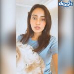 Neha Sharma Instagram - Join @droolsindia raise funds on their initiative ‘Feed The Strays’. This lockdown period has been hard for everyone but especially for the strays and abandoned animals. They have lost their daily feeders and are struggling to survive. For every donation you make, Drools will make an additional donation of 25% in form of food to animal welfare NGO's. To donate click https://bit.ly/DroolsDonationDrive or visit @droolsindia . . . . #Drools #FeedRealFeedClean #FeedTheStray #DogFood #FoodForDogs #DogNutrition #cute #beautiful #instagood #RealChicken #healthydogfood #DogofInstagram #Dog #PetCare #Pets #PetsOfInstagram #WhatsGoodForYourDog #HappyDog #DogLife #FurryFriends