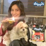 Neha Sharma Instagram - What special treats are you bringing home for your loved ones #thisdiwali ? Celebrate this festive season for your furry friends with @Droolsindia . . . #Drools #DroolsIndia #FeedRealFeedClean #DroolsIndia #DiwaliWithDrools #CompassionNotCruelty #BeKind #CrueltyFreeDiwali #CareForStrays #treats #calciumbone #HappyDiwali #Diwali2021 #StressfreeDiwali #FeedRealFeedClean #FeedLocalBeVocal #BestPetFood #RealChickenForPets #RealNutrition #RealChicken #FeedReal #Droolicious #PetFood #PetCare #PawrentingTips #PetParents #Pawrenting #PetSupplies #adoptdontshop #ad