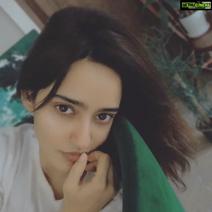 Neha Sharma Instagram – 💚☘️ A vintage movie filter can make everything ...