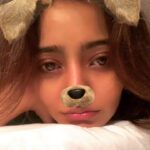 Neha Sharma Instagram - 🐶🐶