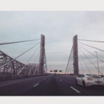Neha Sharma Instagram – #iphonephotography