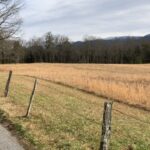 Neha Sharma Instagram – Hope we can enjoy nature’s bounty forever…#lovetheopensky The Great Smoky Mountains