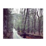 Neha Sharma Instagram - Caption that... Great Smoky Mountains National Park